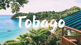 TOBAGO  TOP 10 THINGS to See amp Do  Travel Guide [upl. by Hayse]