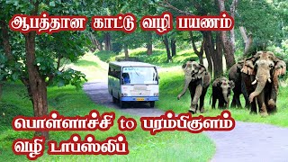 Thrill Pollachi to Parambikulam Dense Forest Early Morning Bus Journey Jolly Trip [upl. by Ced]