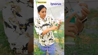 फसलों में virus thrips whitefly and mites control  agriculture shorts [upl. by Concha]