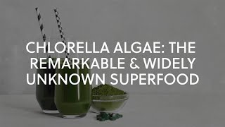 Chlorella Algae The Remarkable amp Widely Unknown Superfood [upl. by Hay]