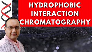 Hydrophobic Interaction Chromatography [upl. by Alper]