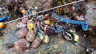 Massive Lobster amp Abalone Coastal Foraging  BIG HAUL [upl. by Marika]