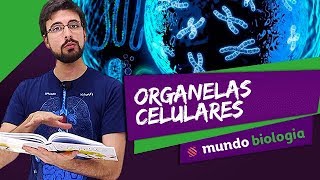 🔬 Citologia 27 Organelas Celulares  Biologia  ENEM [upl. by Sladen]