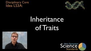 LS3A Inheritance of Traits [upl. by Martita]