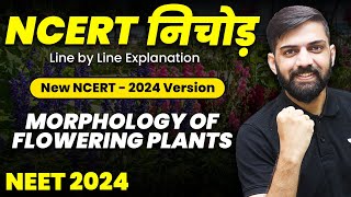 NCERT निचोड़ Morphology of Flowering Plants  NCERT Biology Line by Line Explanation for NEET 2024 [upl. by Rochella]