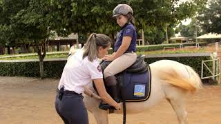 COMO MONTAR A CAVALO PELA PRIMEIRA VEZ  LIÇÃO 01   DICA PARA INICIANTES [upl. by Aicek]