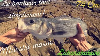 JE PÊCHE un ÉNORME BAR de 74 CM en 5 minutes SEA BASS MONSTER [upl. by Eignav791]