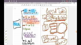 Introduction to Biochemistry  basics 🔴 [upl. by Helli589]