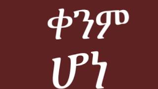 Mikael Belayneh Sayish esasalehu lyrics video [upl. by Ethbinium]