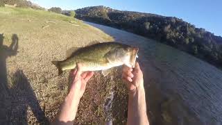 Fishing Lake Del Valle  Jerkbait bassfishing fishing jerkbait bankfishing largemouthbass [upl. by Gussi223]