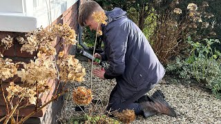 Schimmel in de woning door vochtige kruipruimte waarom [upl. by Ettegirb69]