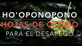 HOOPONOPONO soltar el apego🍂HOJAS DE OTOÑO🍂 trabajar desapego al dolor Frase gatillo soltar todo [upl. by Amhser]