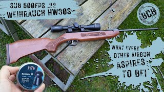 Sub 500FPS 22 Cal Weihrauch HW30S Review [upl. by Enetsirhc]