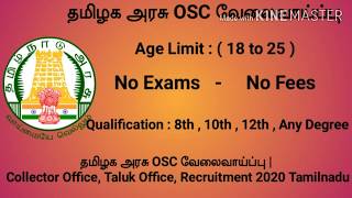 தமிழக அரசு OSC வேலைவாய்ப்பு  Collector Office Taluk Office Recruitment 2020  BULLET TECH [upl. by Fedora576]