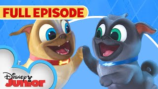 Puppy Dog Pals S1 E1 Full Episode 🐶  Hawaii PugOh 🏝️  ARF  disneyjr [upl. by Hillyer563]