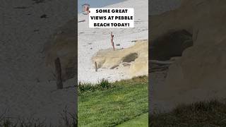 The Views at Pebble Beach were STUNNING today HotGirls HotGolfers golfer [upl. by Ynar151]