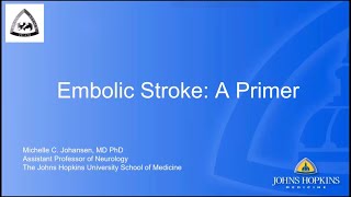 Embolic Stroke A Primer  Dr Michelle Johansen [upl. by Christie402]