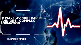 ECG P wave QRS complex and t wave [upl. by Levan]