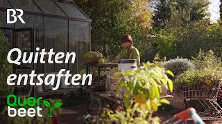 Quittenrezepte Saft und Brot  Tipps von Sabrina [upl. by Greenebaum414]