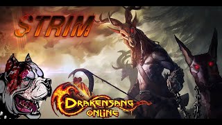 Drakensang Online Dark Legasy  Лучшая расстановка навыков на мага в 2022 [upl. by Elvyn]