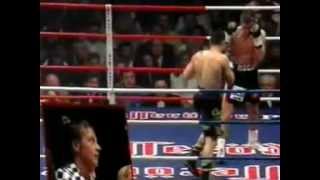 Graciano Rocchigiani vs Dariusz Michalczewski I 13 [upl. by Gerek]