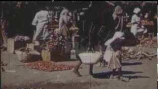 Khartoum And Kosti In Sudan 1950s  Film 97933 [upl. by Trebleda]