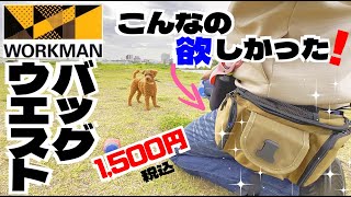 【ワークマン】犬の散歩用にウエストバッグを買いました～【トイプードルのわらび】 [upl. by Anirroc]