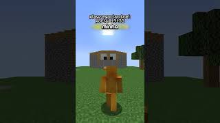 Me passei por um YOUTUBER FAMOSO no meu servidor de Minecraft [upl. by Gudren]