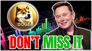 DOGE Price SOARS While Market Crashes Can It Hit 1 Dogecoin News Today [upl. by Darach973]