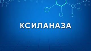 Ксиланаза Xylanase Назначение Производство Применение Энзимология в деталях [upl. by Ferne]