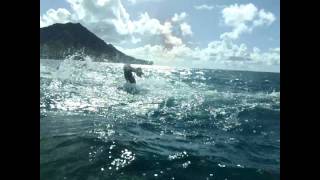 Waikiki Rough Water Swim Turn Buoy 1 [upl. by Pillsbury]