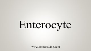 How To Say Enterocyte [upl. by Terr646]