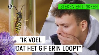 JURRE WORDT GESTOKEN DOOR EEN WESP  Steken en Prikken 1  NPO Zapp [upl. by Oirifrop]