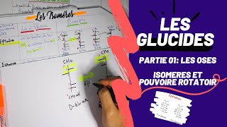 📣 Biochimie  2 LES GLUCIDES PARTIE 01  Les Oses  Les isomères 👌 SNVUSTHBBIOCHIMIEMEDECINE [upl. by Aehsel]