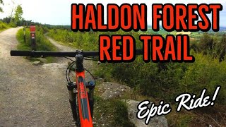 Haldon Forest Red Ridge Ride Trail  Mountain Bike Trail Review [upl. by Cibis]