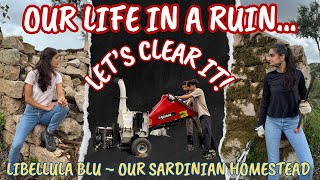 2  Our Life in a Ruin Lets Clear It  Our Sardinian Homestead [upl. by Engen234]