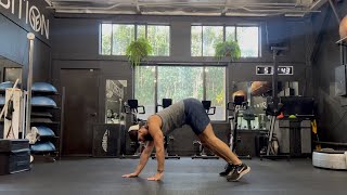 Bodyweight  Walkout  Pushup with option [upl. by Zonnya19]