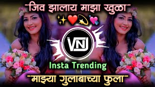 माझ्या गुलाबाच्या फुला • jiv zalay maza khula maze gulabache fula dj song  VNJ Remix [upl. by Ahsal683]