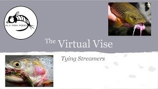 Virtual Vise StreamerPalooza [upl. by Aesoh100]