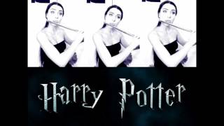 Harry Potter  Hedwigs Theme  Flute Cover Yasmin [upl. by Vez959]