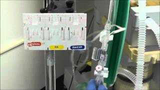 How to Setup an Arterial Line Transducer [upl. by Coates]