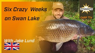 Carp Fishing on Yateley  Six crazy weeks on Swan Lake [upl. by Atarman725]