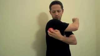 Teres Major Self Myofascial Release  Mike Reinold [upl. by Enifesoj]