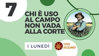 Chi è Uso al Campo non vada alla Corte 7 [upl. by Vaasta]