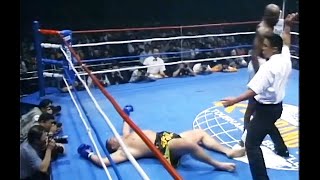 Ernesto Hoost  Top Knockouts HD [upl. by Ladin]