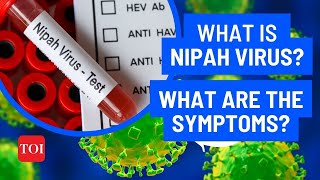 Nipah Virus What are the symptoms  Can Nipah be treated  Know all about Kerala the Outbreak [upl. by Eiuqram]