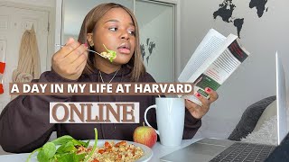 A Day in My Life at Harvard ONLINE  2021 [upl. by Alyks]