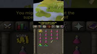 The MOST EXPENSIVE potion in OSRS [upl. by Cannell]