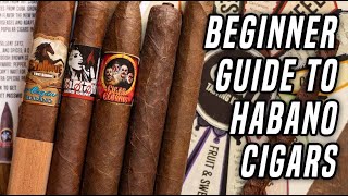 A guide to Habano Tobacco [upl. by Ilah832]