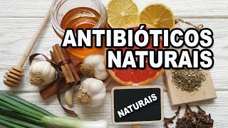 Antibióticos naturais QUAIS SÃO ELES [upl. by Laet324]